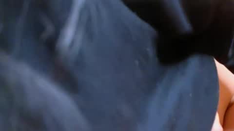 EvelynRosess online show from December 2024 02:10:02 AM