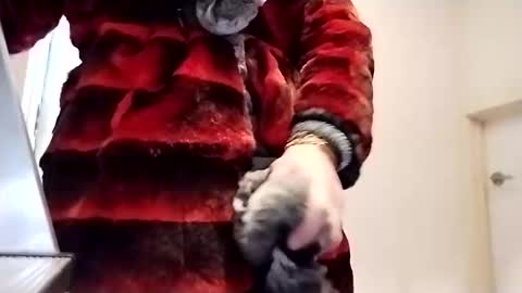 evesimmons online show from October 2025 10:53:02 PM