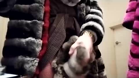 evesimmons online show from October 2025 12:31:01 PM