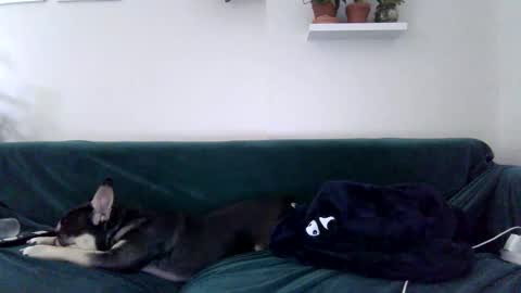 Badblondebunny online show from October 2025 11:41:02 PM