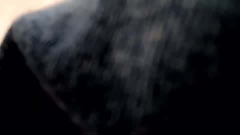 Evocation online show from January 2025 02:20:02 AM