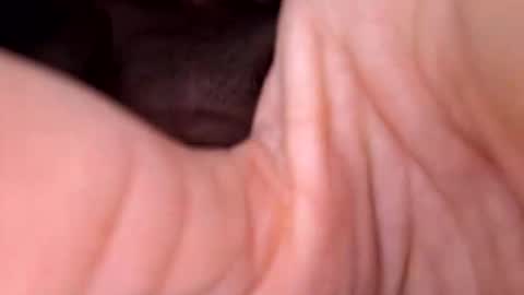 Snapshot of exhibboytoy3 chatting on March 2026 07:24:01 AM Exhibboytoy3 online show from March 2026 07:24:01 AM