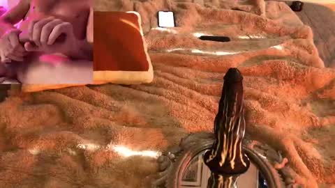 exhibitp online show from February 2025 07:09:01 PM