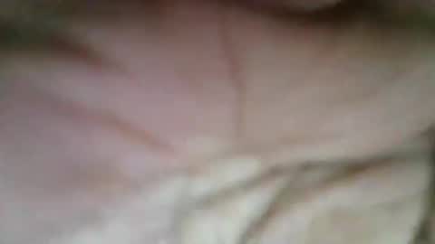 exoticapril01 online show from April 2026 06:46:02 PM