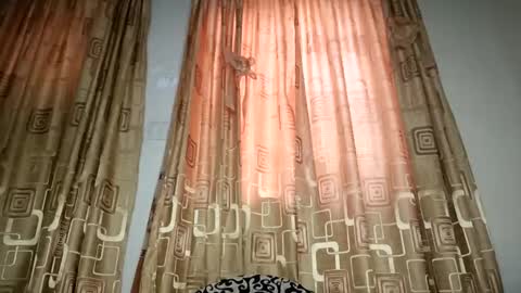 Nina online show from April 2026 07:45:01 AM