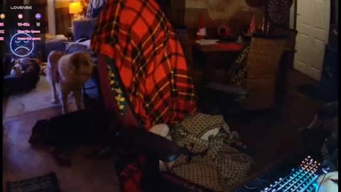 exxxtr4sauce online show from January 2025 11:42:01 PM