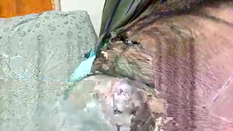 Snapshot of ezzz_au20 chatting on November 2025 05:32:02 AM ezzz_au20 online show from November 2025 05:32:02 AM