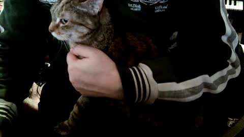 Fabius online show from January 2025 09:10:02 AM