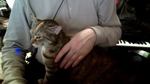 Fabius online show from January 2025 12:52:01 PM