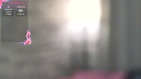 Adri online show from December 2024 08:14:02 PM