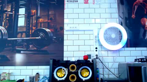 fabxxxl online show from January 2025 12:18:01 PM