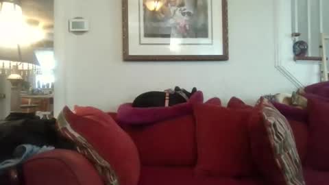 fairmount31 online show from November 2025 07:25:01 PM