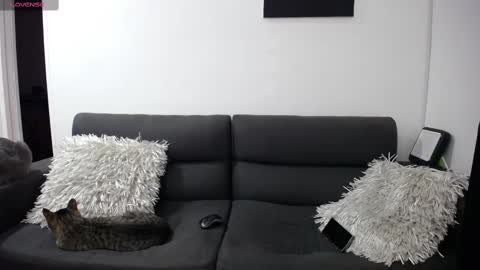 Snapshot of fallgays chatting on February 2025 12:16:01 AM FallGays online show from February 2025 12:16:01 AM