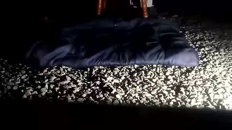 Snapshot of fallguyb1875150 chatting on October 2025 10:12:02 AM fallguyb1875150 online show from October 2025 10:12:02 AM