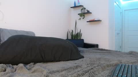 Fallon Gray online show from March 2025 11:28:02 PM