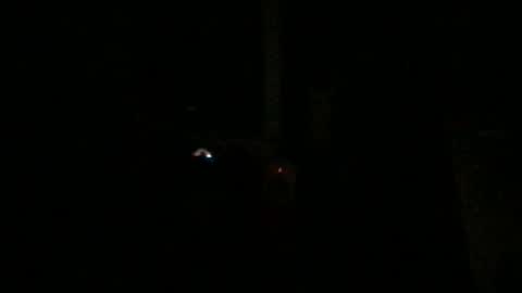 Snapshot of fantasticdeee chatting on January 2025 03:20:02 AM fantasticdeee online show from January 2025 03:20:02 AM