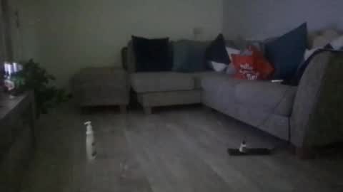 Snapshot of fantasticdeee chatting on March 2025 06:30:01 AM fantasticdeee online show from March 2025 06:30:01 AM