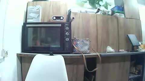 Snapshot of farmerscupal chatting on May 2026 07:41:01 PM hausewife online show from May 2026 07:41:01 PM