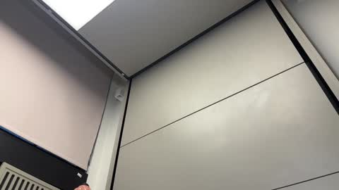 Gattino online show from December 2024 08:16:01 AM