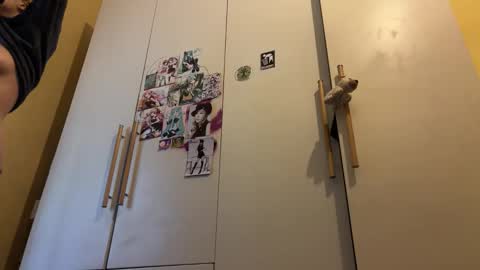 Gattino online show from September 2025 12:21:01 PM