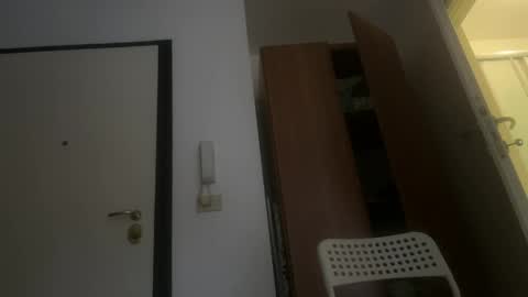 Gattino online show from April 2026 12:03:02 PM