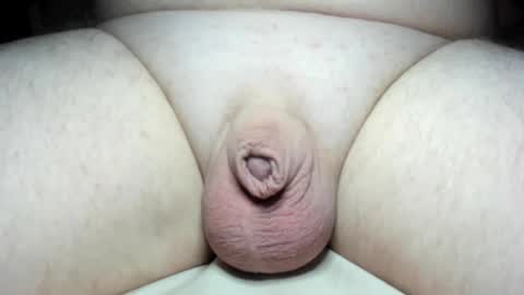 Snapshot of fatmanscock chatting on December 2024 04:12:01 AM Fatmanscock online show from December 2024 04:12:01 AM