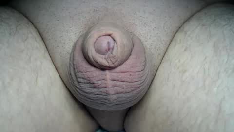 Snapshot of fatmanscock chatting on March 2026 12:56:02 AM Fatmanscock online show from March 2026 12:56:02 AM