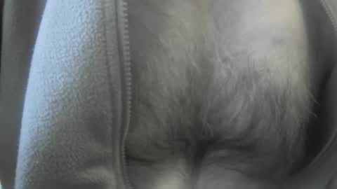 feardubh online show from January 2025 03:53:02 PM