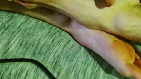 Snapshot of feelingverynaughty chatting on January 2025 01:44:01 AM ask me online show from January 2025 01:44:01 AM