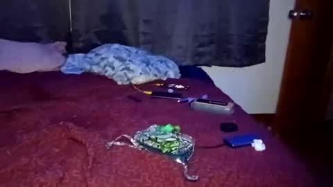 Snapshot of feetandmeat420 chatting on October 2025 09:33:01 AM feetandmeat420 online show from October 2025 09:33:01 AM