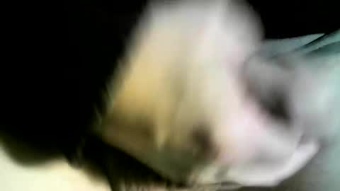 Snapshot of felicaste chatting on February 2025 03:01:02 PM felicaste online show from February 2025 03:01:02 PM