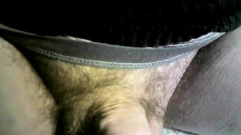 Snapshot of felicaste chatting on February 2025 02:38:02 PM felicaste online show from February 2025 02:38:02 PM