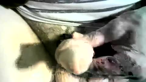 Snapshot of felicaste chatting on March 2025 12:22:02 AM felicaste online show from March 2025 12:22:02 AM