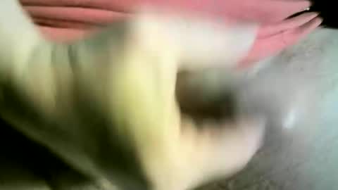 Snapshot of felicaste chatting on March 2025 12:26:02 PM felicaste online show from March 2025 12:26:02 PM