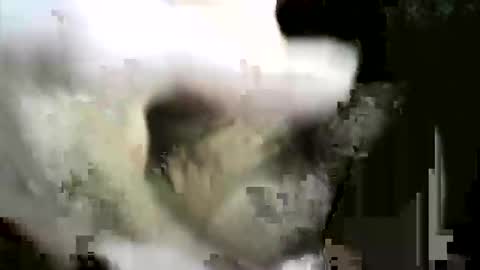 Snapshot of felicaste chatting on December 2025 08:59:02 PM felicaste online show from December 2025 08:59:02 PM