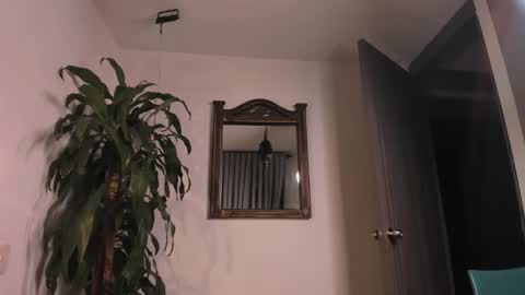 FelixSantos online show from January 2025 01:10:02 AM