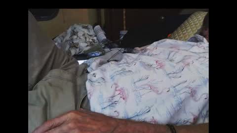 ferra_testarossa online show from September 2025 02:13:01 AM