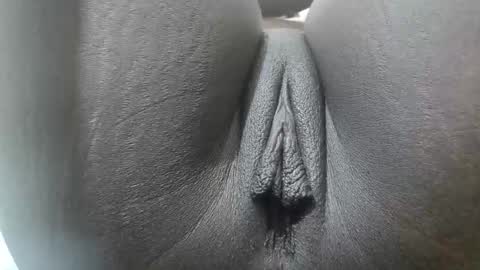 Ferie online show from October 2025 07:52:01 AM