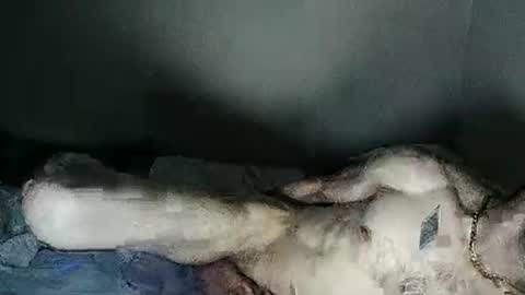 Snapshot of fetishsearch1abdl chatting on February 2025 06:18:02 AM fetishsearch1abdl online show from February 2025 06:18:02 AM