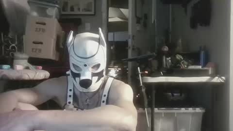 Snapshot of fetishsearch1abdl chatting on September 2025 07:25:02 AM fetishsearch1abdl online show from September 2025 07:25:02 AM