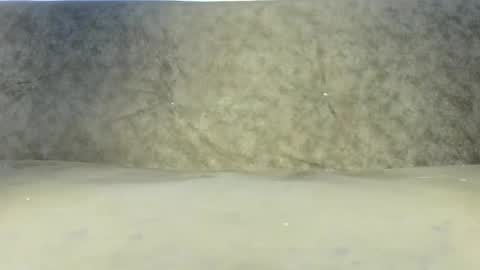 Snapshot of fettishdealer chatting on April 2026 07:52:01 PM FettishDealer online show from April 2026 07:52:01 PM