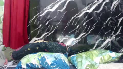 filipinabigcock online show from December 2024 10:38:02 AM