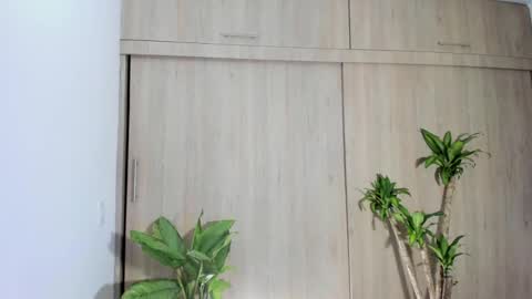 filletatouee online show from November 2025 03:05:01 AM