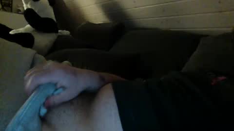 filzliii online show from February 2025 10:04:02 PM