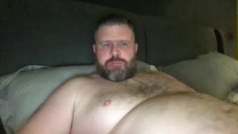 Snapshot of fin_dom_bear chatting on November 2025 02:00:02 AM fin bear dom online show from November 2025 02:00:02 AM