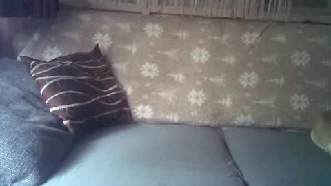 Snapshot of findo1991 chatting on January 2025 08:24:02 AM Jane and Findo online show from January 2025 08:24:02 AM