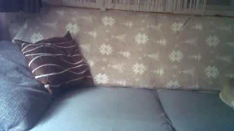 Snapshot of findo1991 chatting on January 2025 05:51:01 AM Jane and Findo online show from January 2025 05:51:01 AM