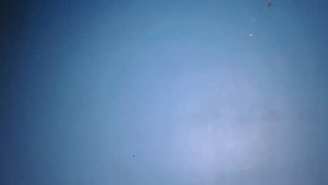 fine_ass24 online show from May 2026 05:27:02 AM