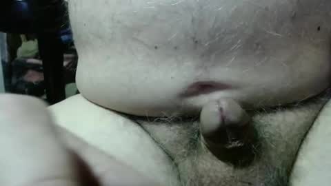 fish1475 online show from January 2025 06:12:01 AM