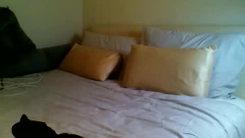 Fitbut online show from September 2025 07:03:01 PM